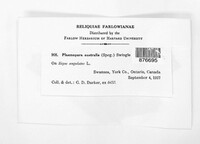 Image Associated With the Occurence